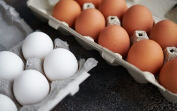 Eggs Are the World's Healthiest Food