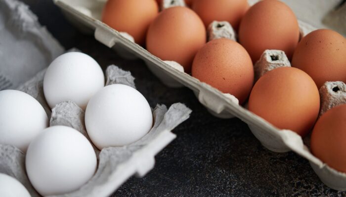 Six Arguments for Why Eggs Are the World’s Healthiest Food