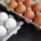 Eggs Are the World's Healthiest Food